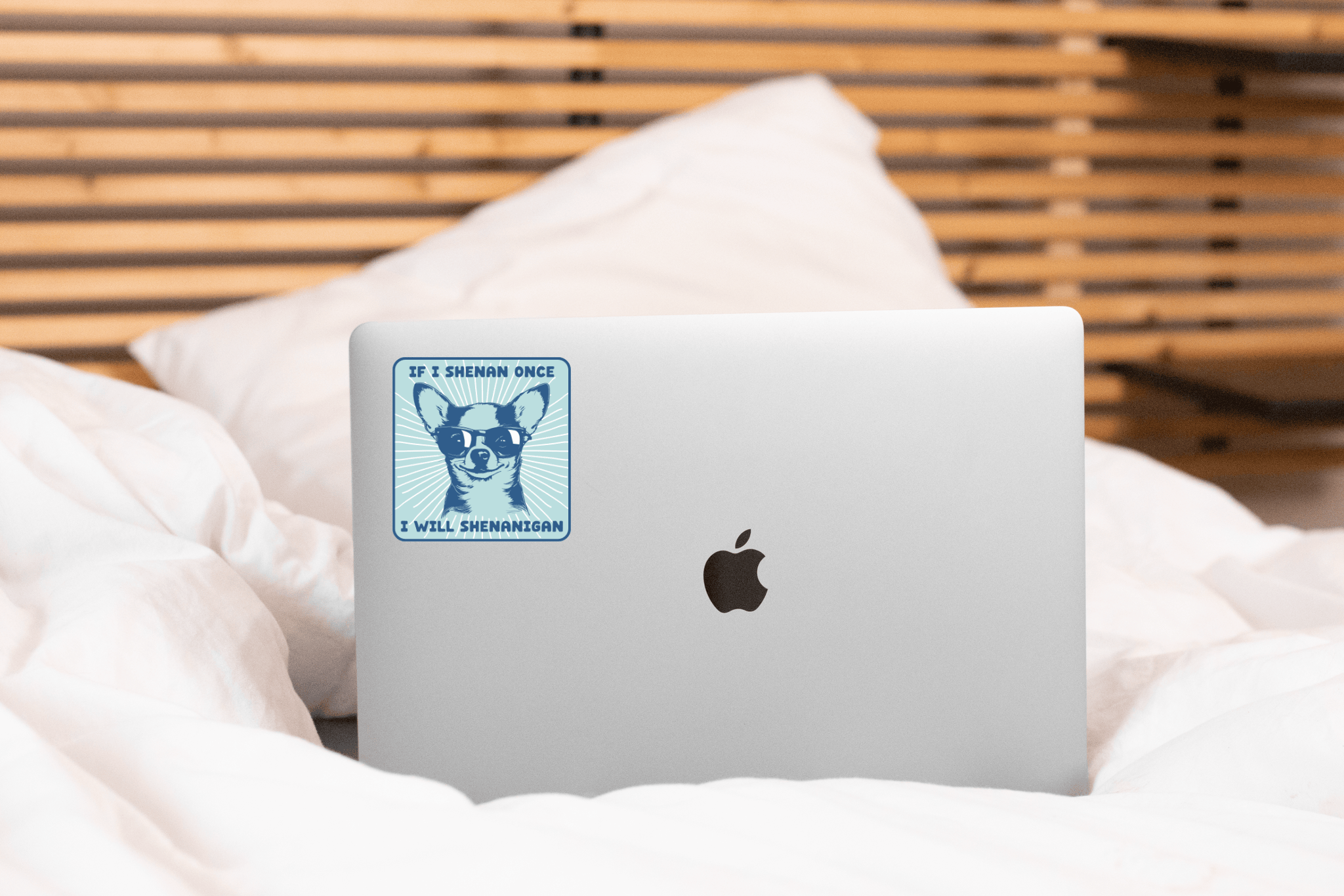 If I Shenan Once I Will Shenanigan Sticker - chihuahua, dog