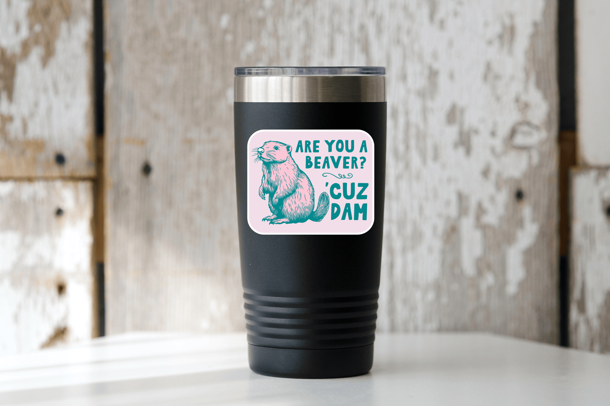 Are You a Beaver 'Cuz Dam Sticker - funny, animal, cute