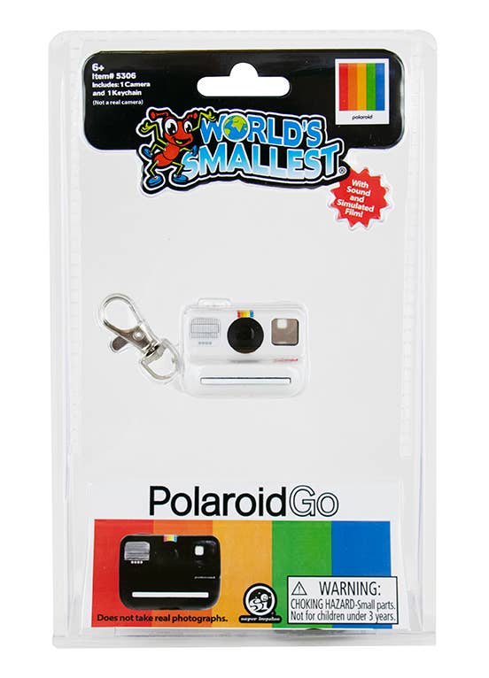 World's Smallest Polaroid Go Camera
