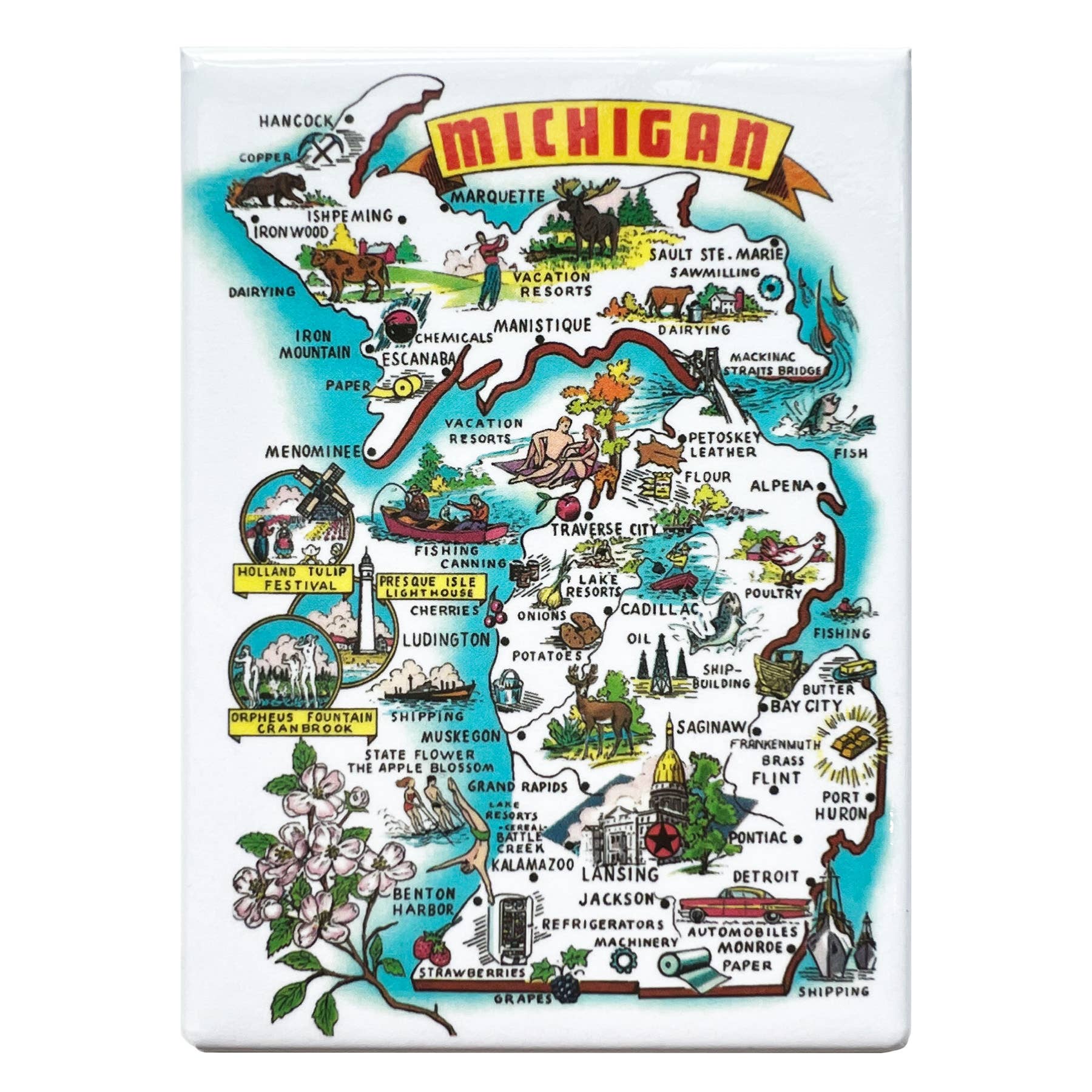 Michigan #2 Rectangle Magnet