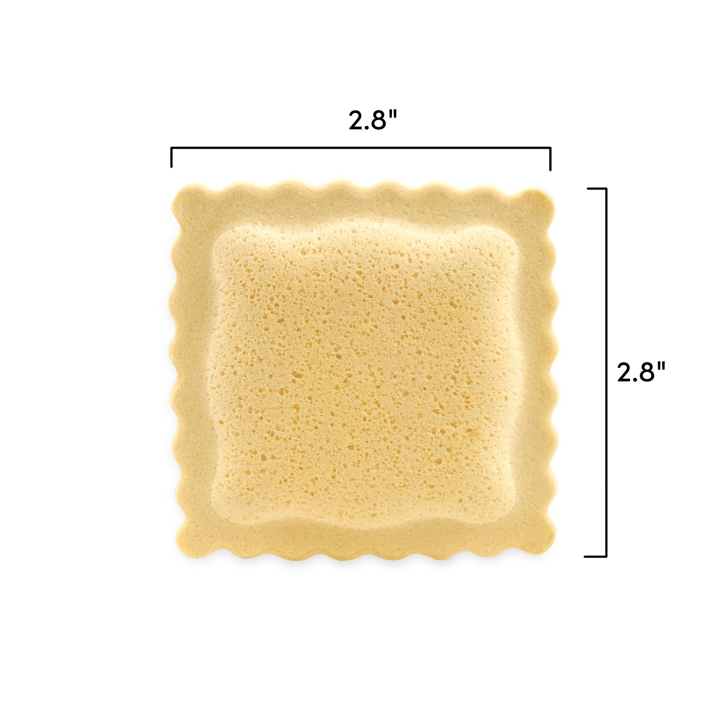 Spongioli - Set of 6 - Ravioli Compressed Sponges