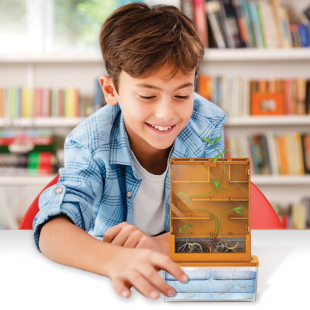 Grow A Maze Green Science Kit
