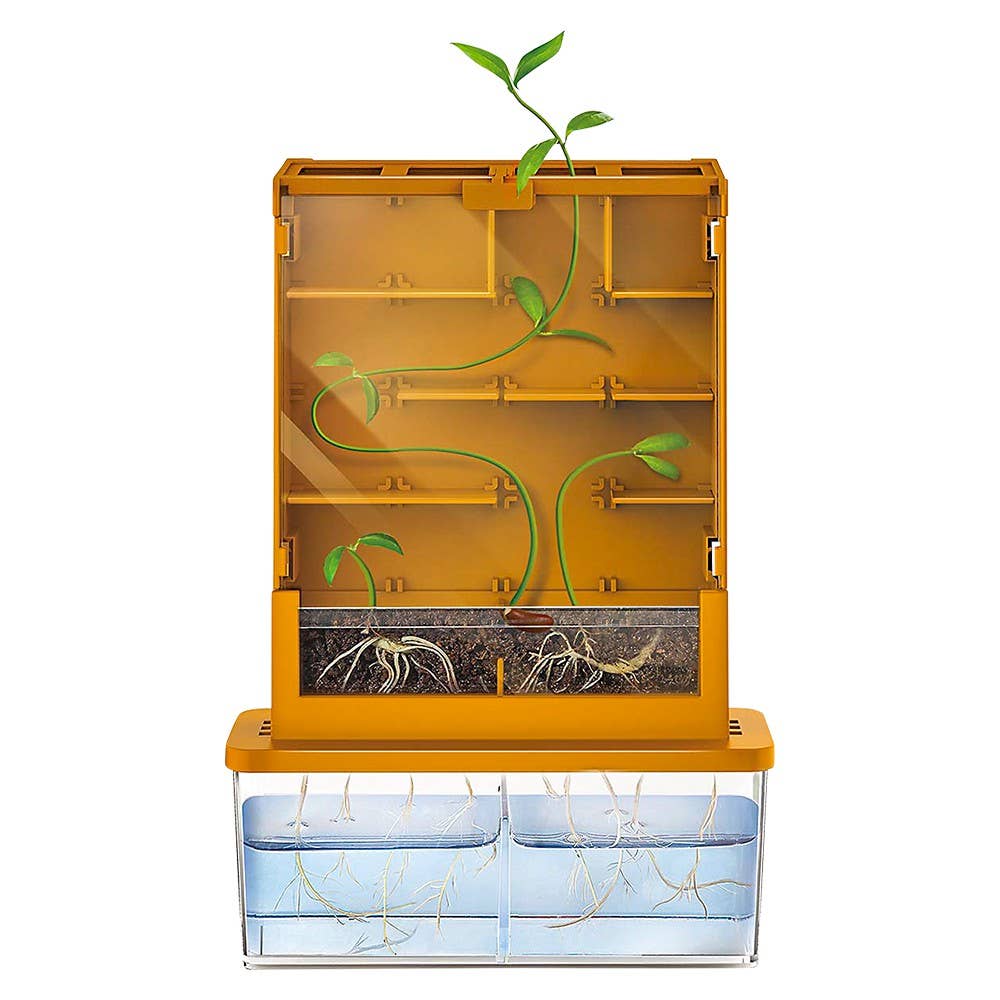 Grow A Maze Green Science Kit