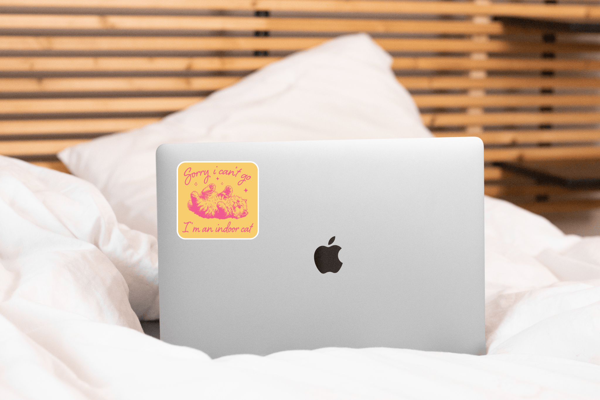 Sorry I Can't Go I'm an Indoor Cat Sticker