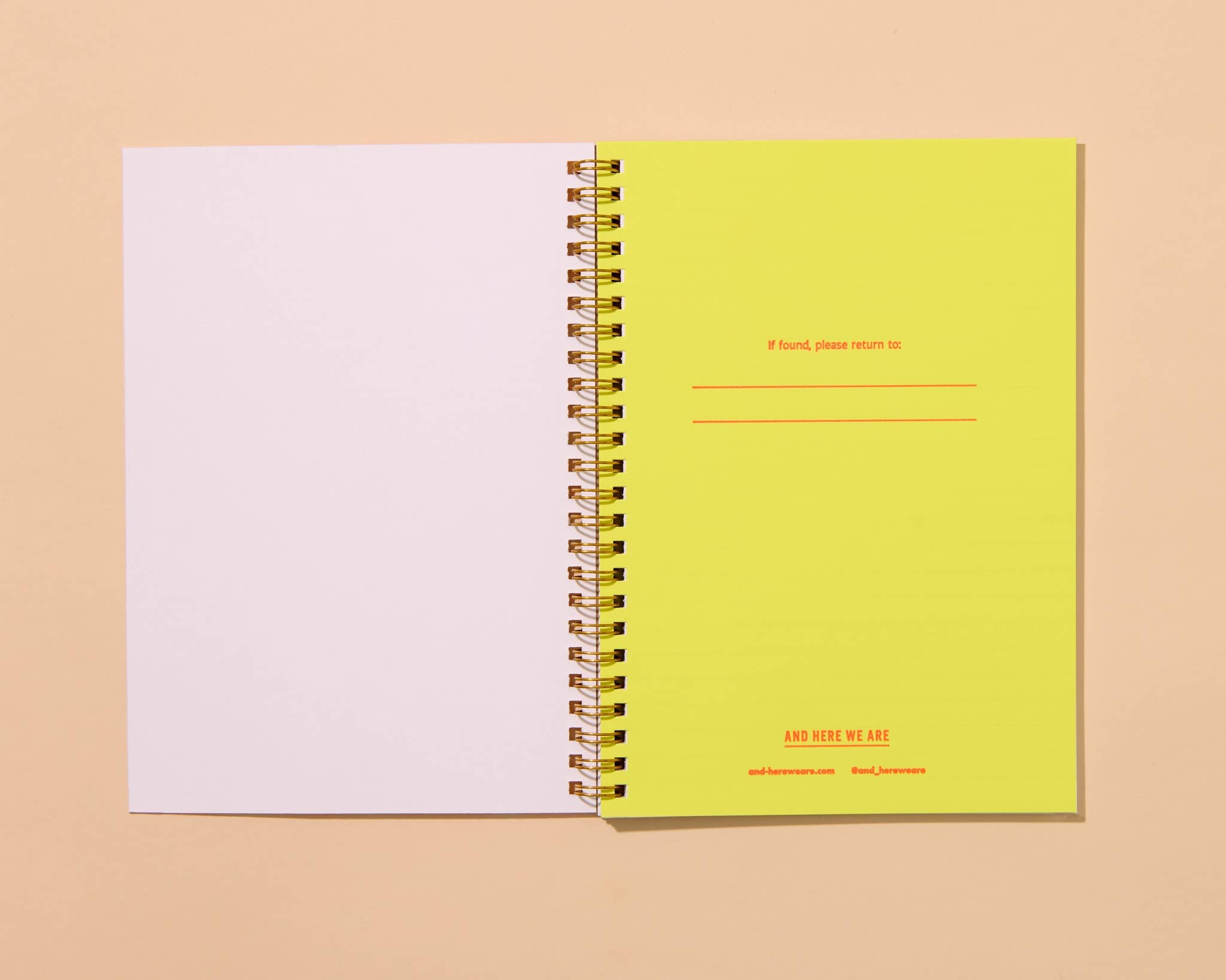 Diet Warhol Pop Art Notebook