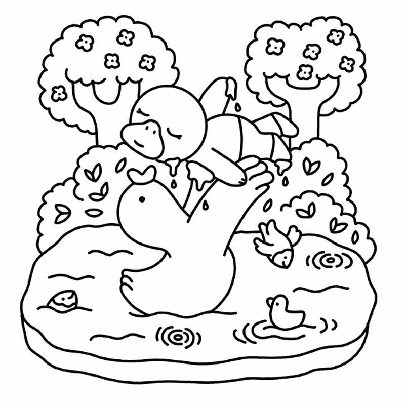 Summer Scenes: A Cozy Coloring Book (NEW!)