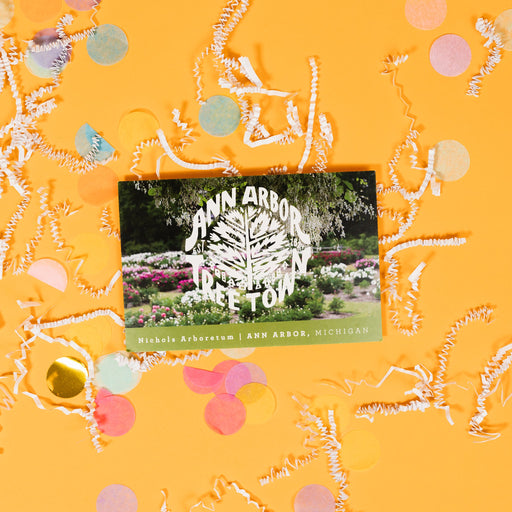 On a sunny mustard background sits a postcard with white crinkle and big, colorful confetti scattered around. This postcard shows a photo of a botanical garden with a white, hand illustrated tree and lettering that says "ANN ARBOR TREE TOWN."