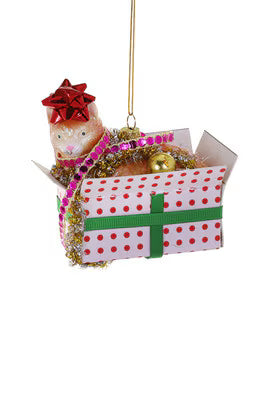 Cat in Box Ornament