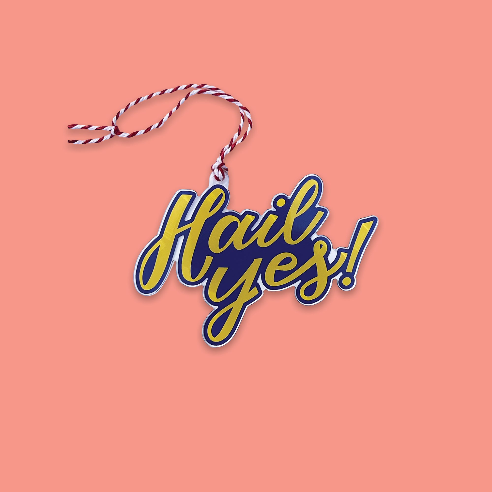 On a coral pink background sits an acrylic ornament with red and white string. It says "Hail Yes!" in maize and blue script lettering.