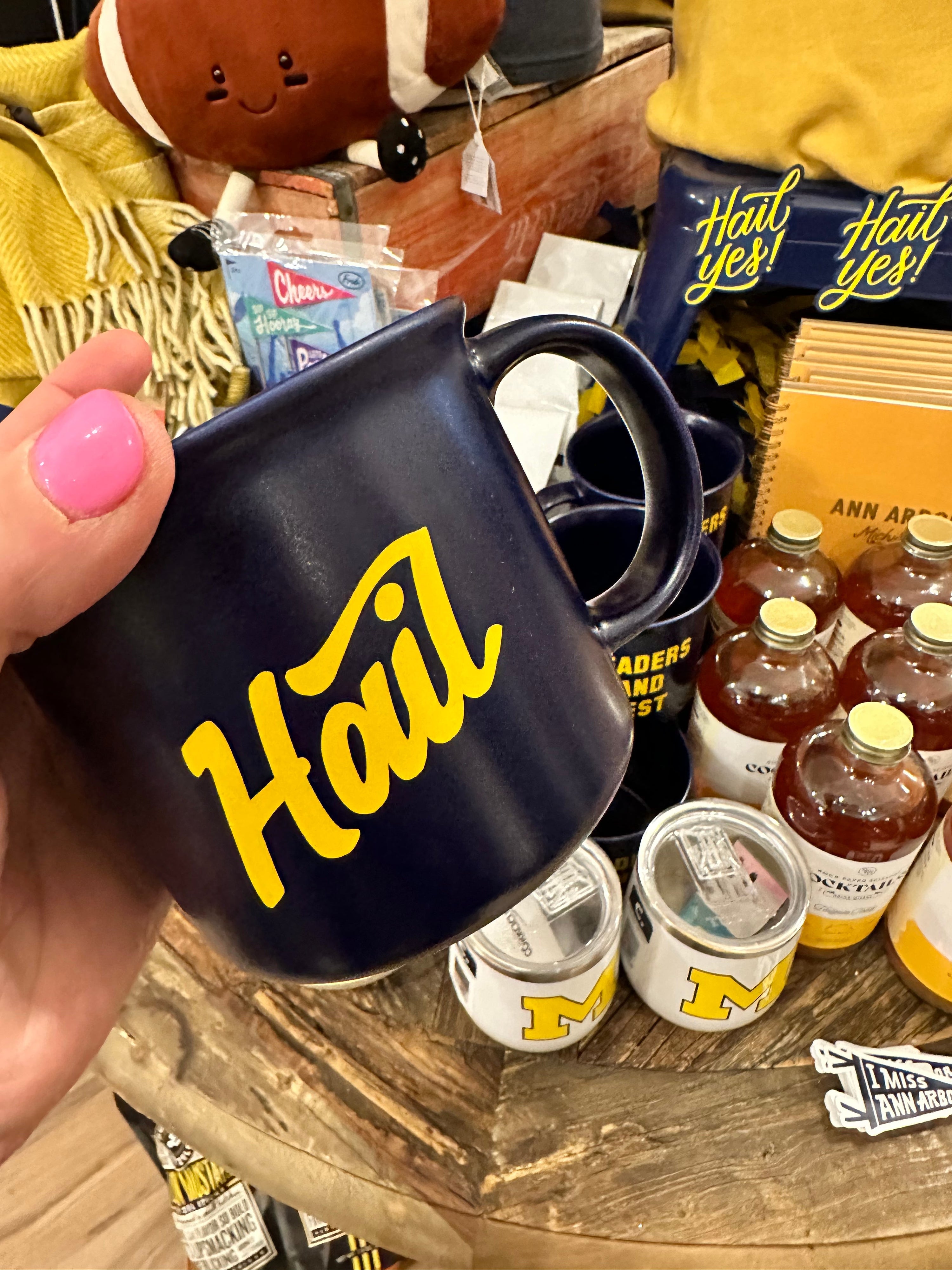 Bold Hail Navy Campfire Style Mug