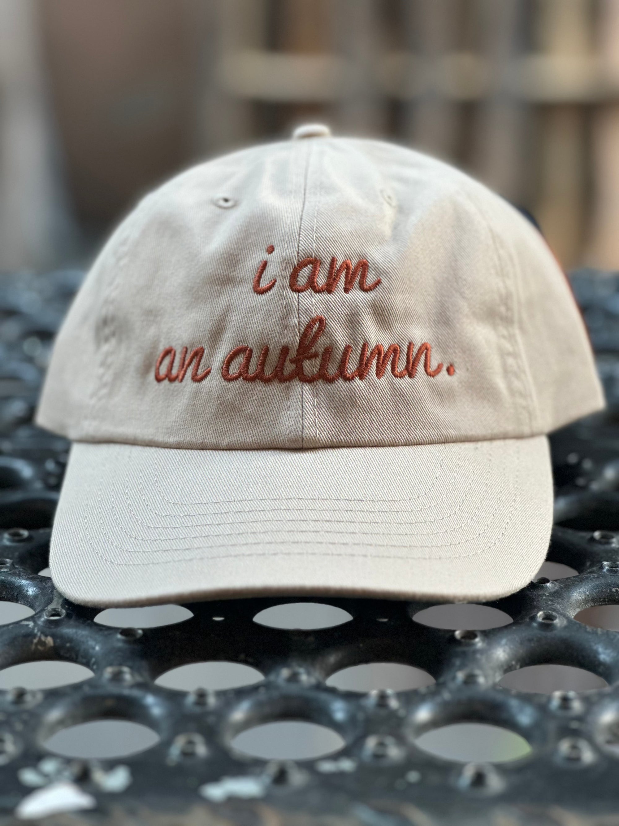 I Am An Autumn Dad Hat