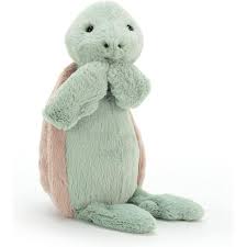 J26-Bashful Turtle