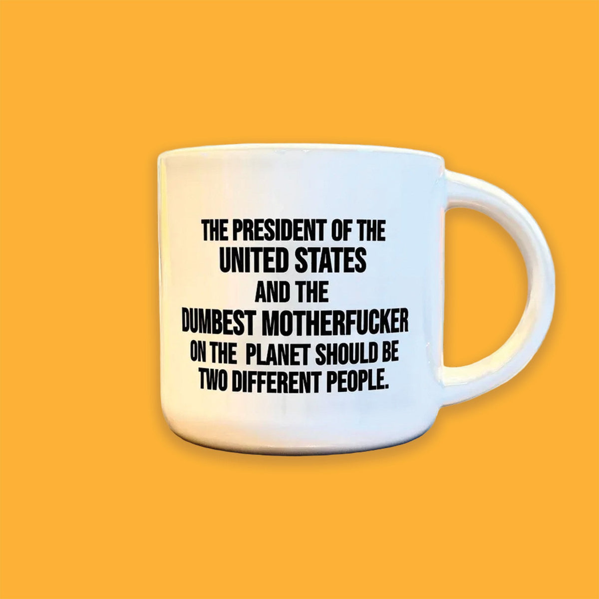 President of the US Mug