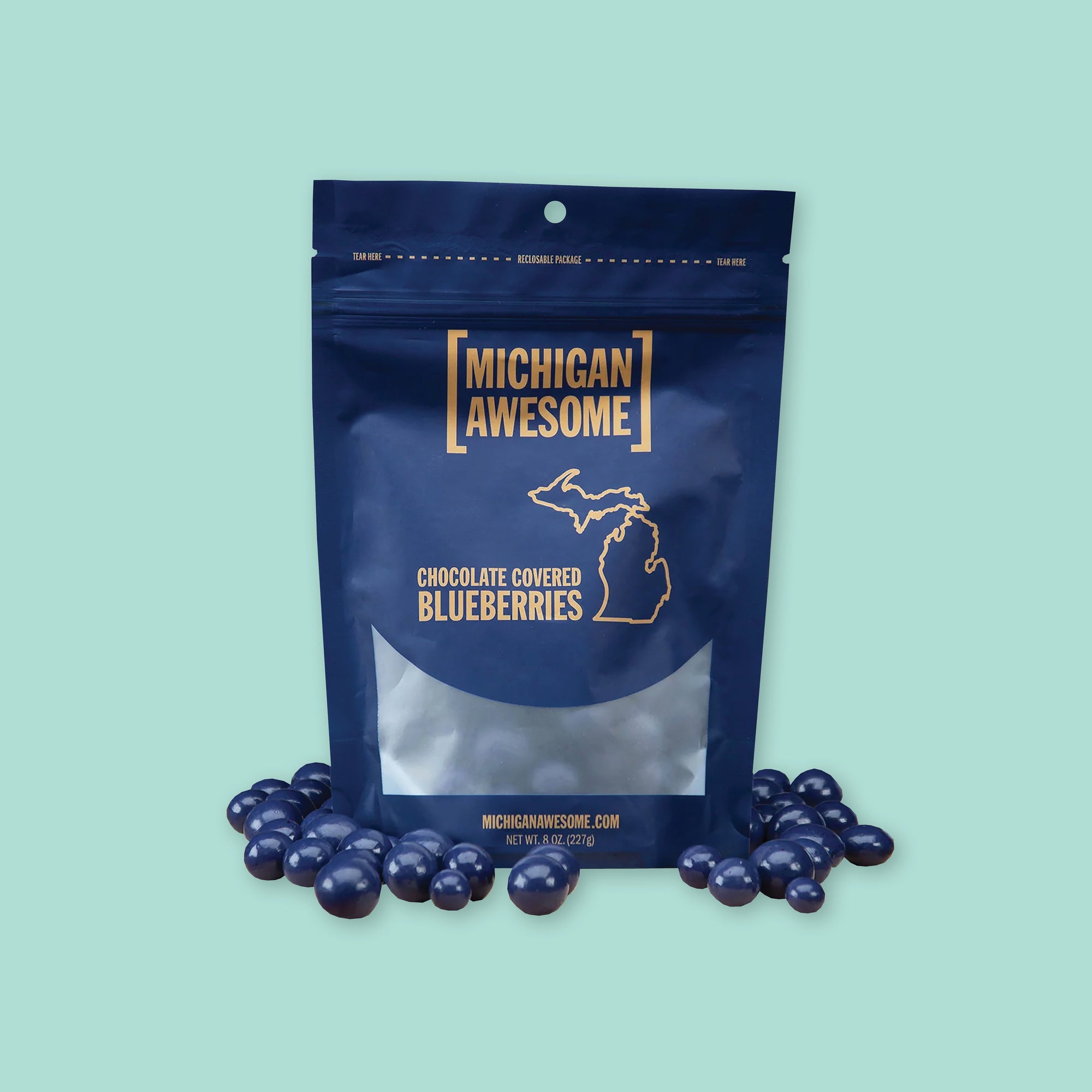 On a mint green background sits a navy package that is see-through at the bottom. It is filled with chocolate covered blueberries. It says "MICHIGAN AWESOME," and "CHOCOLATE COVERED BLUEBERRIES" in goldish-yellow, all caps block font. It has an outlined illustration of the state of Michigan-UP.There are chocolate covered blueberries sitting around the bag. NET WT. 8 OZ. (227G)