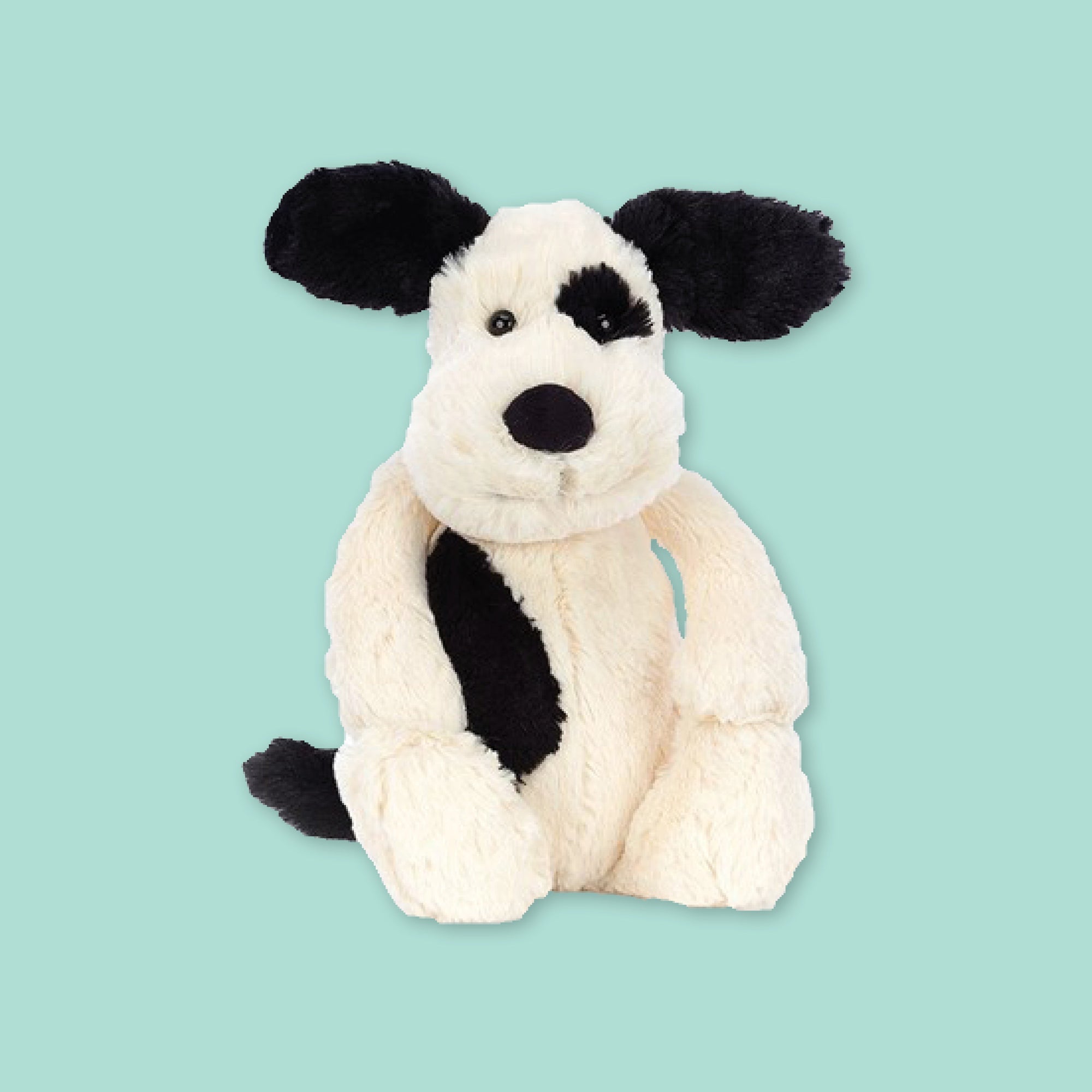 On a mint green background sits a stuffed animal. This black and white puppy plushie is soft and cuddly.
