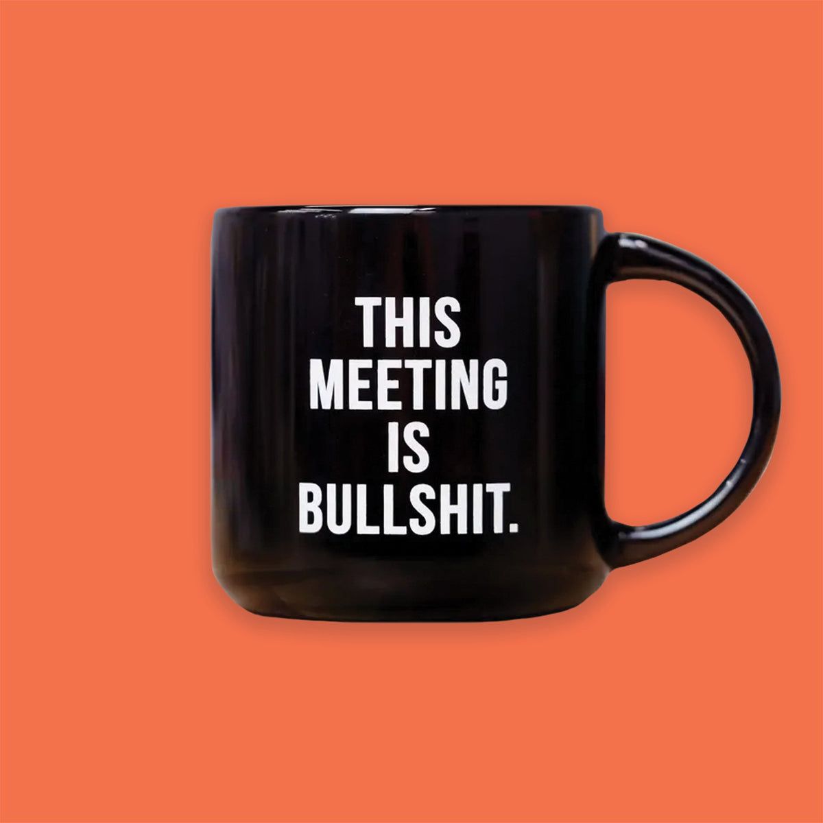This Meeting is Bullshit Mug
