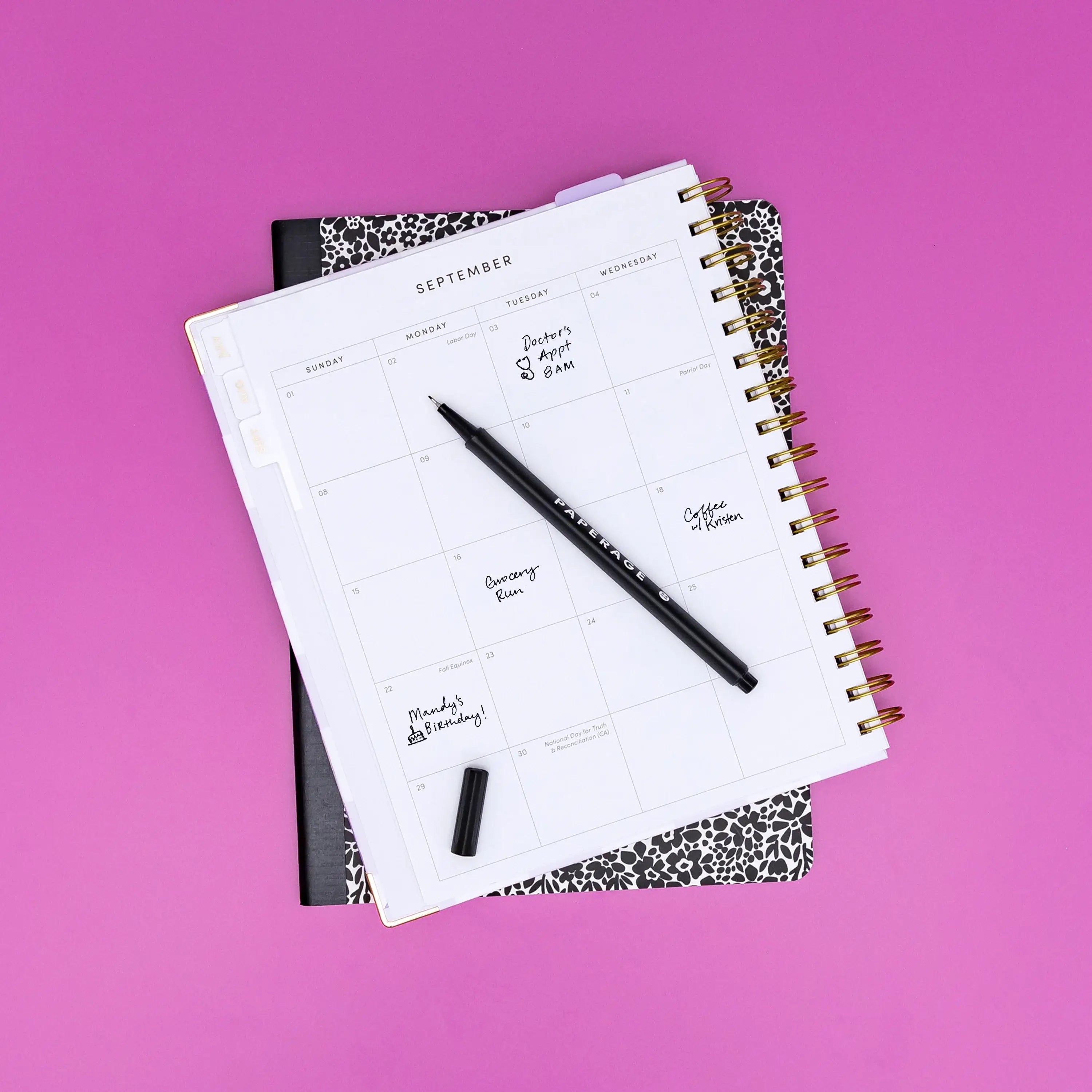 12 Pack Felt Tip Fine Line Marker Pens With Case: Bright