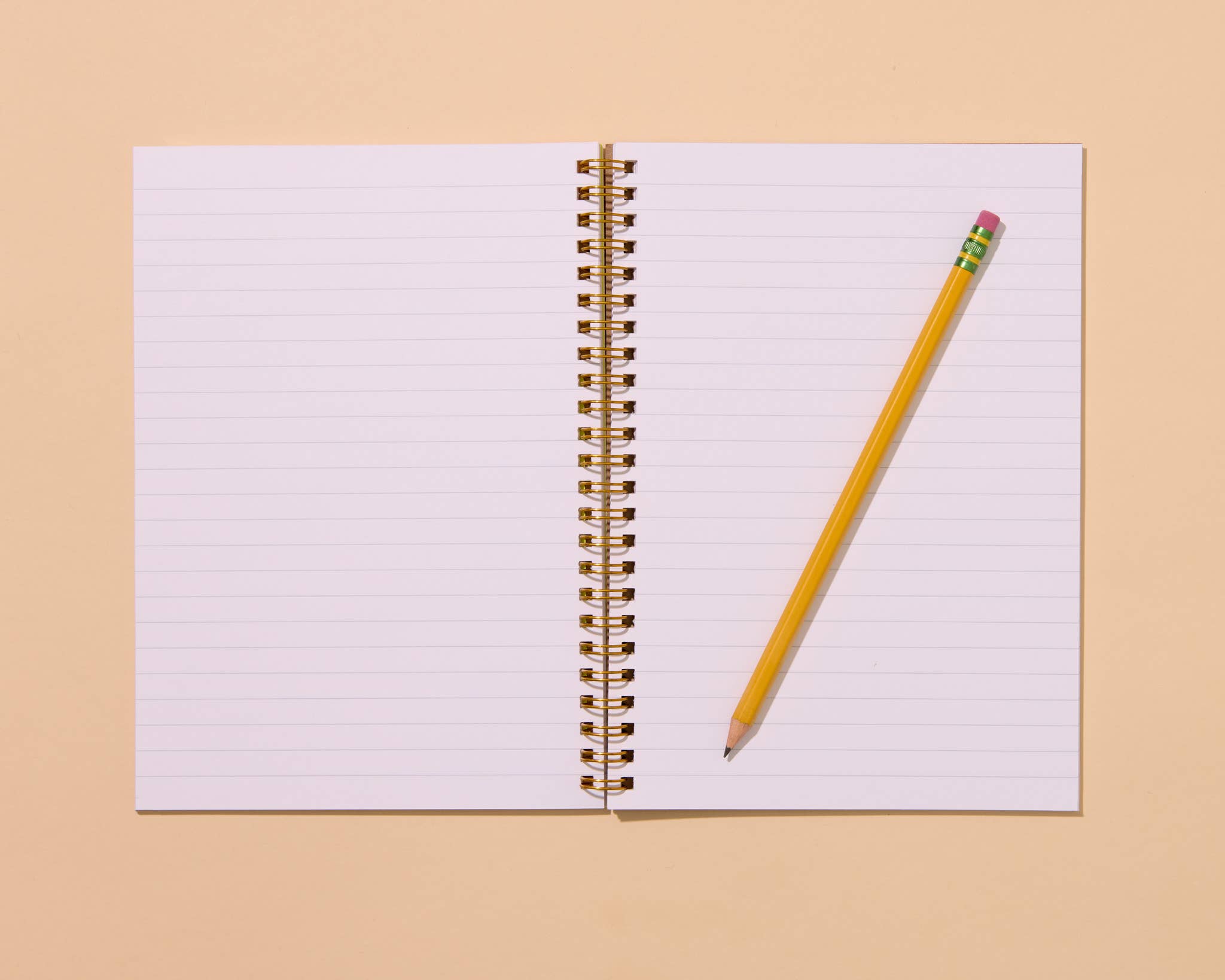 Diet Warhol Pop Art Notebook