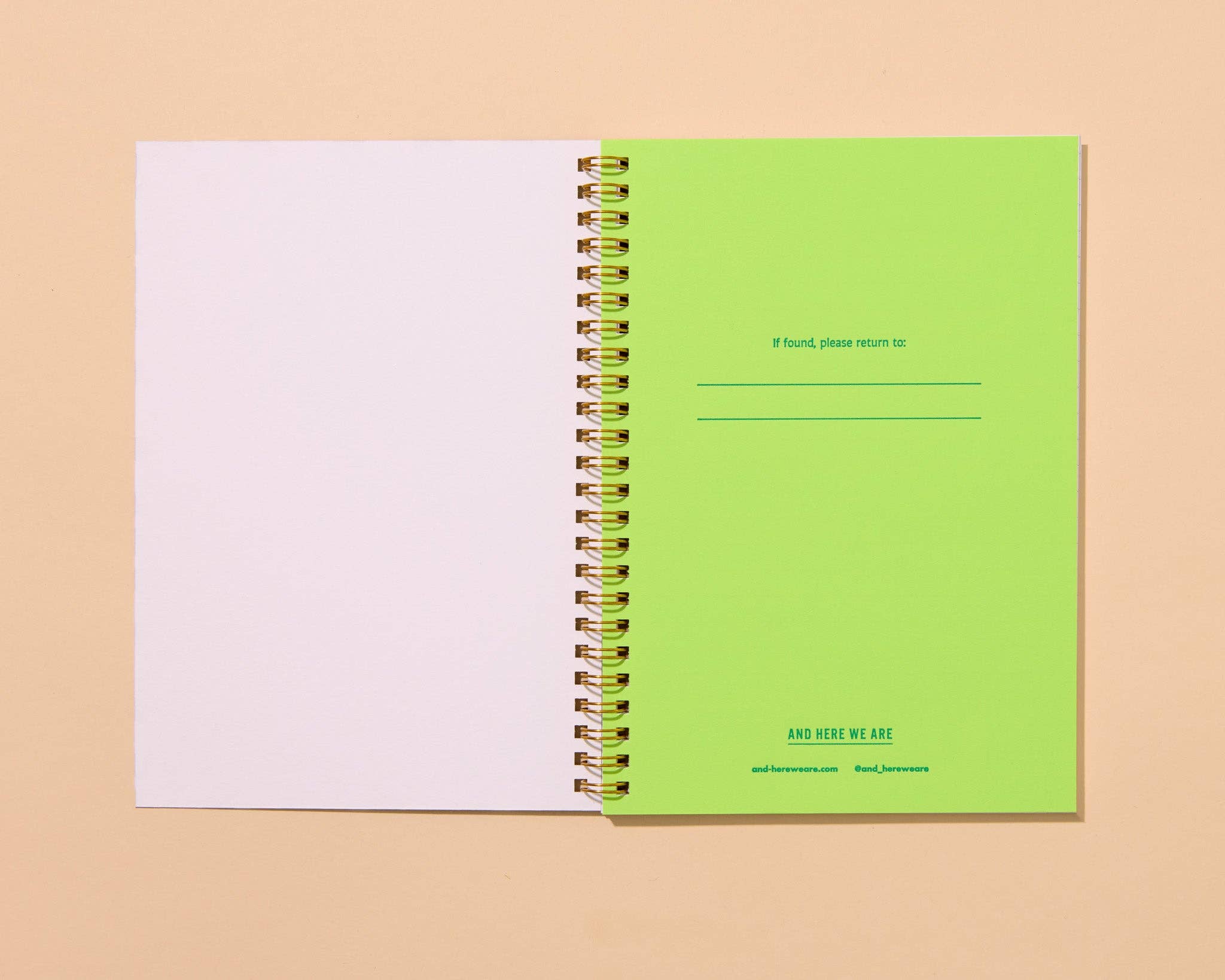 Coneflower A5 Spiral Notebook
