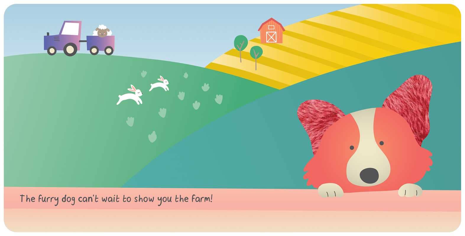 Farm Animals: My First Touch & Feel Book by - Board Books; 8 pages / English