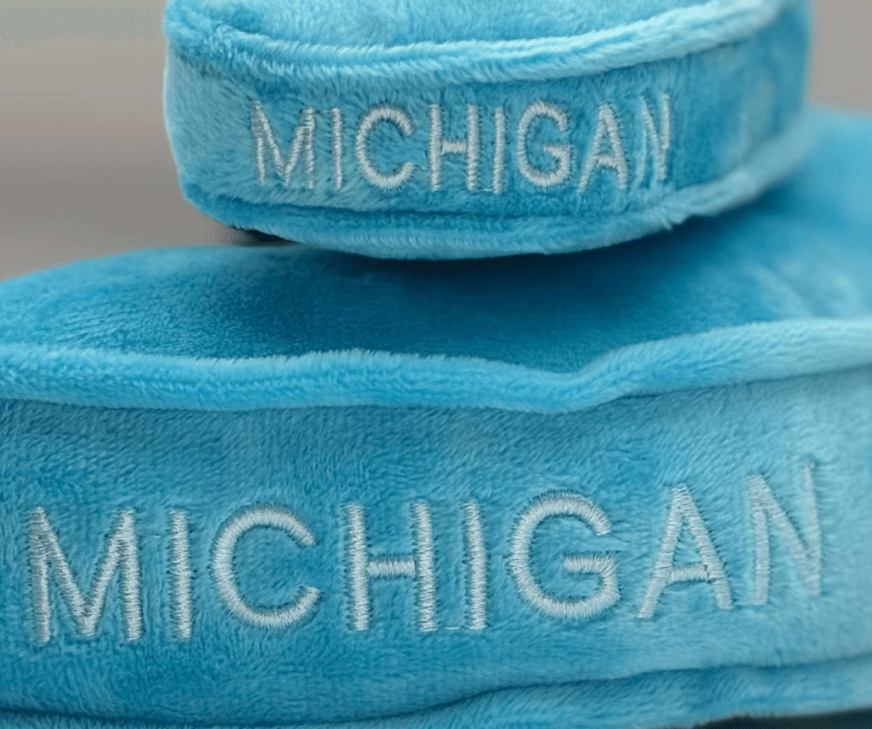 Michigan Plush Magnet - Mini Stuffs