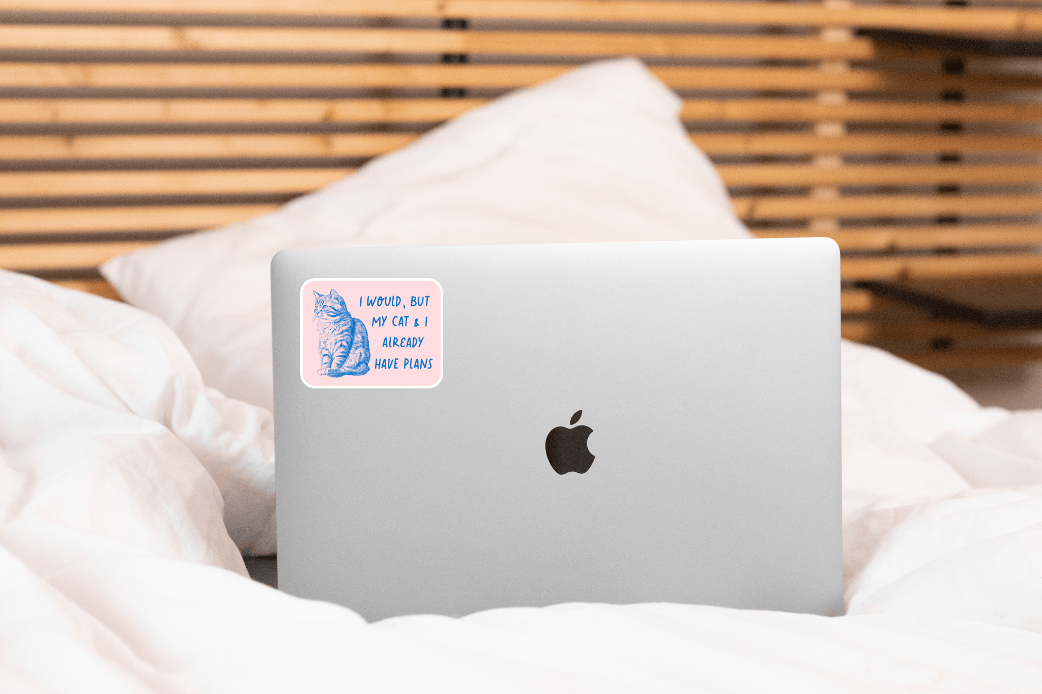 I Would But My Cat & I Already Have Plans Sticker - kitten