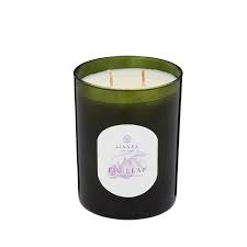 Fig Leaf Linnea Candle