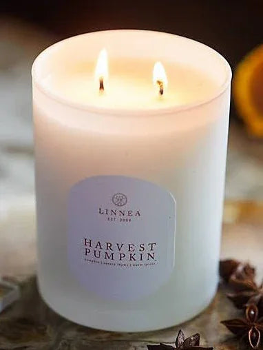 Harvest Pumpkin Linnea Candle